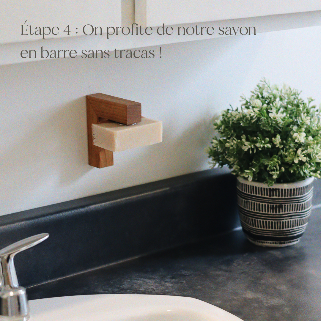 Wall mounted soap dish