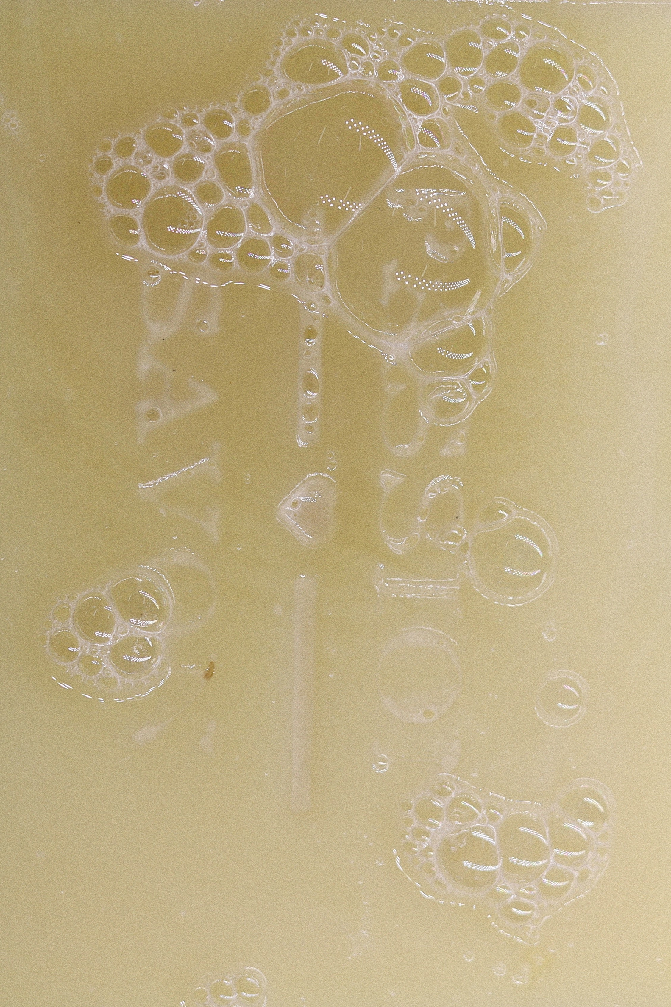 Savon | Lavande